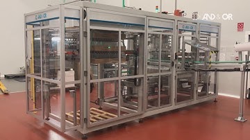 AND&OR Integrated Take Out System + Automatic Palletizing System
