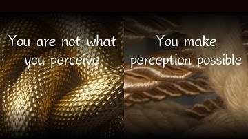 A Direct Pointing Out | The Unobservable Self [no music]