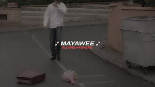 Mayawee (slowed reverb)