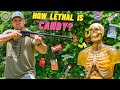 How Lethal Is Candy ??? 🍭 (4 Gauge Candy Shotgun Shells)