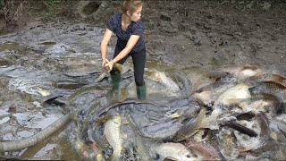 Fishing Video - The Girl Catching A Lot Of Fish In The Lake - By Sucking All The Water In The Lake
