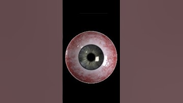 Liquid Death / The New Host Official Song / #music #indie #liquiddeath #diewithyou