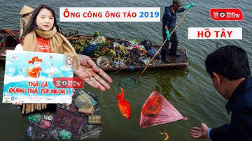 Cá chép mắc kẹt trong túi nylon, bàn thờ bị ném thẳng xuống hồ - thả cá cúng ông công ông táo 2019