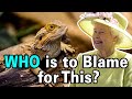 Who Started the Lizard People Conspiracy Theory?