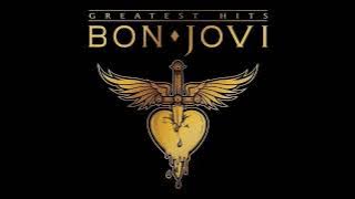 Bon Jovi - Lay Your Hands On Me HQ (Audio)