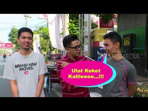 Tau Gak Sih Apa Sih Arti Kata Kamuflase Youtube