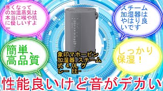 象印マホービン 加湿器 スチーム式 4.0L グレー EE-DF50-HAに対する