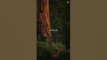آه يا حلو Foryou Fy Trending اكسبلور حب لايك Like Trend Explore Love Adam آدم Shorts 