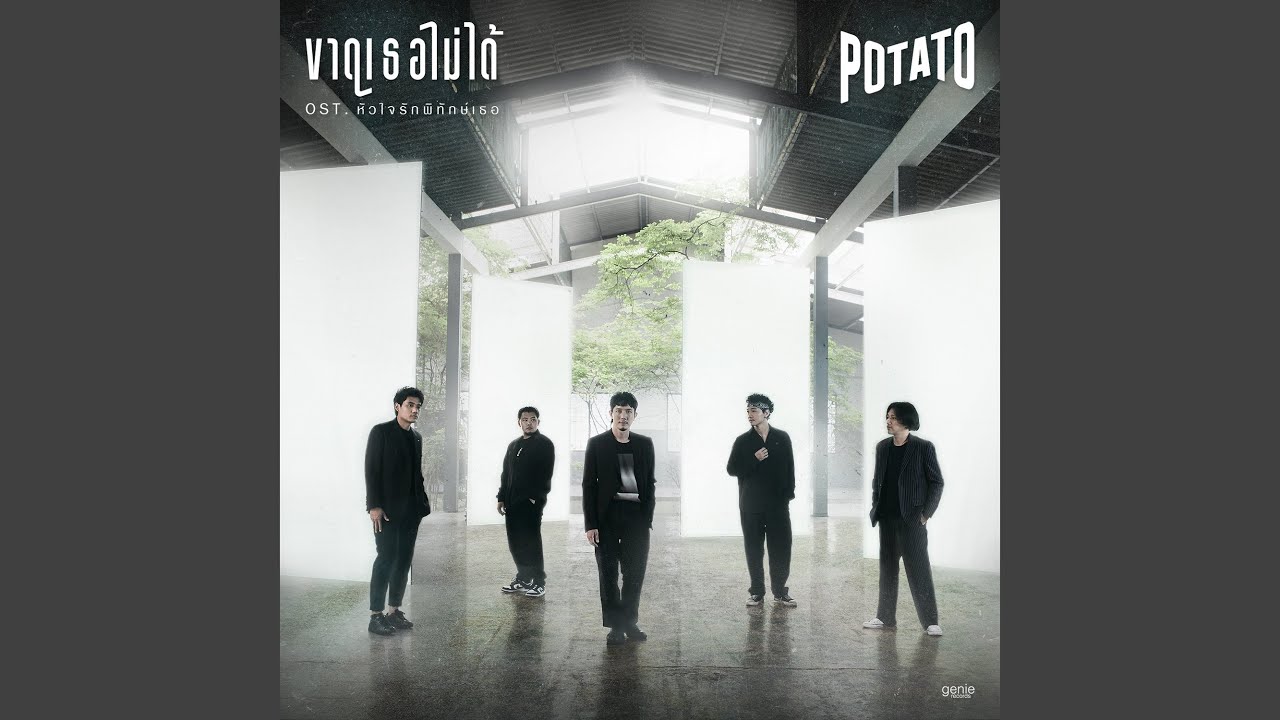 ปกเพลง ขาดเธอไม่ได้ (เพลงประกอบละคร...) — POTATO