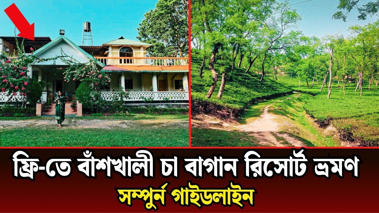 বাঁশখালী চা বাগান অপূর্ব দৃশ্য || সম্পুর্ন গাইডলাইন।। চট্টগ্রাম।। 