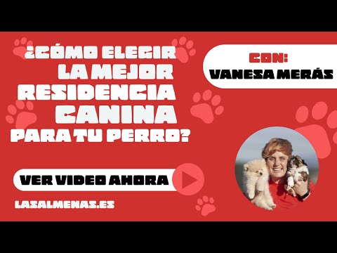 ¿Cuál es la MEJOR residencia canina? 🏨 | Centro Canino Las Almenas hqdefault