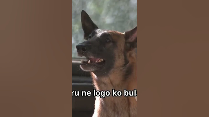 The story of a loyal dog in his own words #short #viralvideo #doglife #dog