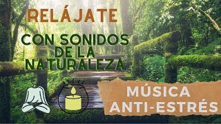 Música relajante ANTI-ESTRÉS. ¡Sonidos de la Naturaleza!