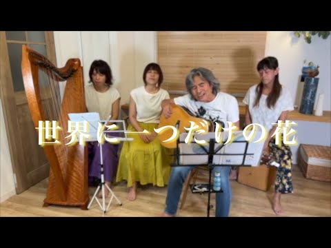 世界に一つだけの花/cover