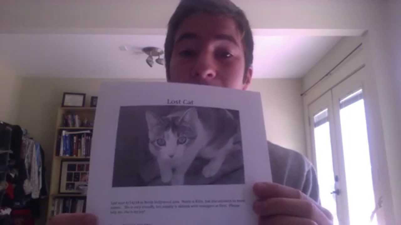how-to-get-a-free-cat-youtube