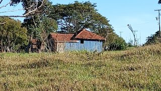 IDOSO VIVIA ISOLADO E UM DIA ACABOU MERGULHANDO NO TACHO DE SABÃO