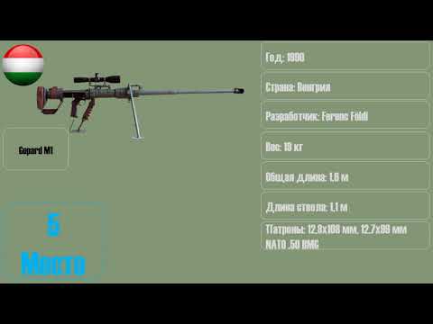 ТОП-6 самых дальнобойных снайперских винтовок мира