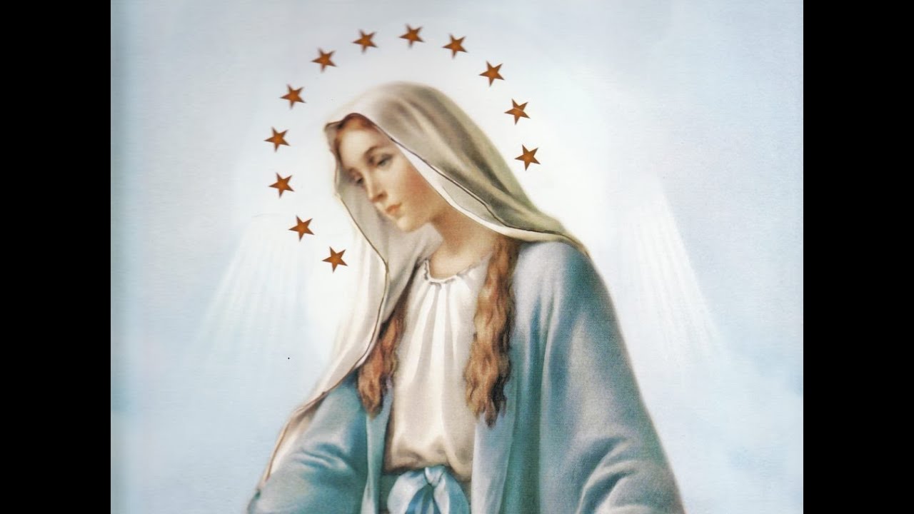 Maria 11 maria. La Virgen Москва.
