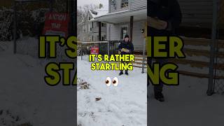 Investors React to CRAZY Bank Bid at Foreclosure Auction!