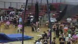 Ryan Marrs on Rings at State 2008