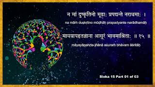 Gita Daily Byte 7.28, Sloka 15 Part 01 of 03