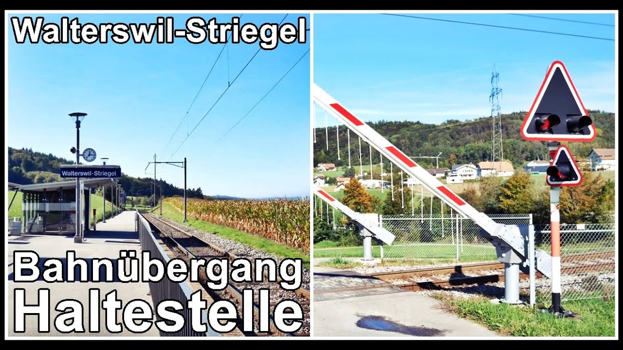 VERSTECKTE STATION! 🌲 Haltestelle Walterswil-Striegel & Bahnübergang | SBB Aargau | Thomas1980