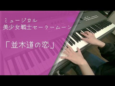 【セラミュ】「並木道の恋」とピアノの親和性が高い。