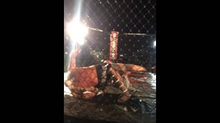 Famous Sean Loeffler vs Travis McCullough Fight for the Troops 2014 Wealth