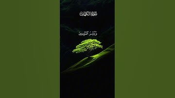 سورة الكهف من الآية ١-٥ #سعود_الفايز