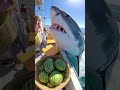 She Fed a Shark a Giant Pumpkin... You Won&rsquo;t Believe What It Spit Out! 🦈🎃🥬