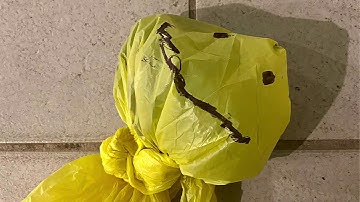 Sewerslvt - Psychosis