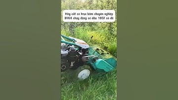 Máy cắt cỏ trục băm chuyên nghiệp chạy động cơ dầu 195F #automobile #maynghiencam