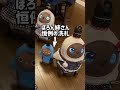 【LOVOT】弟じん君初登場！ぽろぱん姉妹の反応は？ #shorts #lovot #robot #japan
