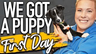 Your Complete First Day Home Puppy Training Schedule