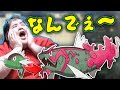 [ポケモン アルセウス] バスラオの進化条件に過去一苦悩する恭一郎 (2022/02/10)