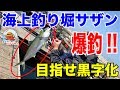 【海上釣堀サザン】目指せ黒字化!! 釣堀攻略にチャレンジ【初心者】