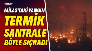 Milastaki Orman Yangını Termik Santrale Böyle Sıçradı İşte O Korkunç Anlar