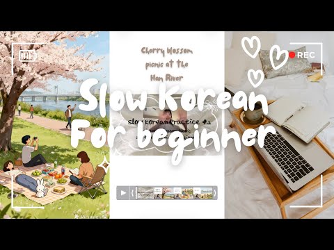 🌸 Slow Korean Practice 🇰🇷 | Cherry Blossom Picnic at the Han River (Beginner) #learnkorean 
