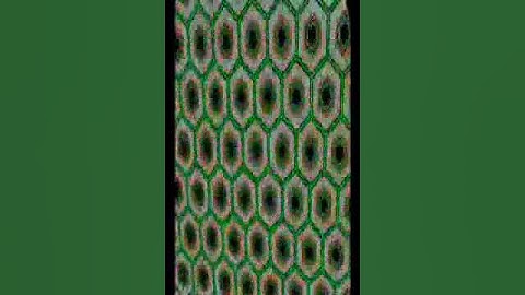 Animated Hexagons Multi Color (Video Wallpaper)