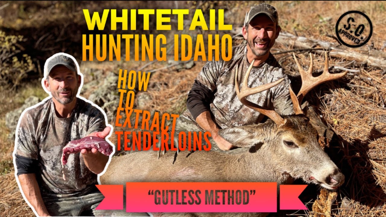 Hunting IDAHO Whitetails, Vapor Trail and The Best Tenderloin