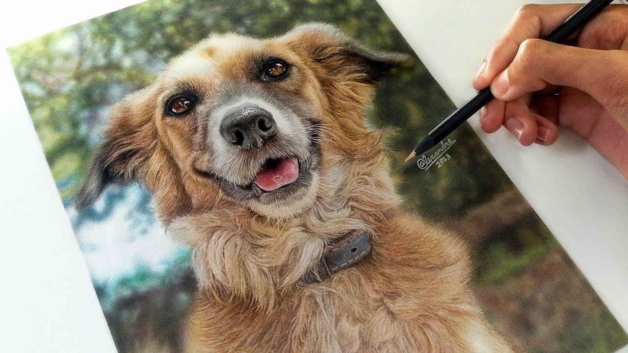 Tutorial de como desenhar um cachorro realista! - YouTube