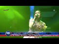 RANA DUKA -  ELIS ASIFA NEW FELICIA 2020