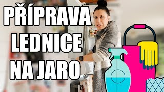 MASAKR V LEDNICI, KTERÝ MUSÍ JÍT PRYČ, ÚKLID A PŘÍPRAVA LEDNICE NA JARO, DENNÍ VLOG