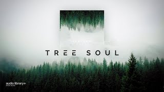 Tree Soul — KENTDOW | Free Background Music | Audio Library Release