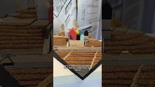 First year architecture project explained #architecture #architect First year architecture project explained #architecture #architect
