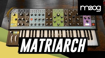 MOOG Matriarch Analog Synth! Demo