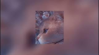Jamie Duffy ~ Solas (Piano-Speed up)