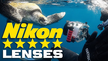 Top 3 Best Lenses for Nikon Full Frame Mirrorless Underwater