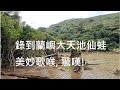 錄到蘭嶼大天池仙蛙美妙歌喉, 驚嘆!送我好美的曲(你聽見了嗎?)