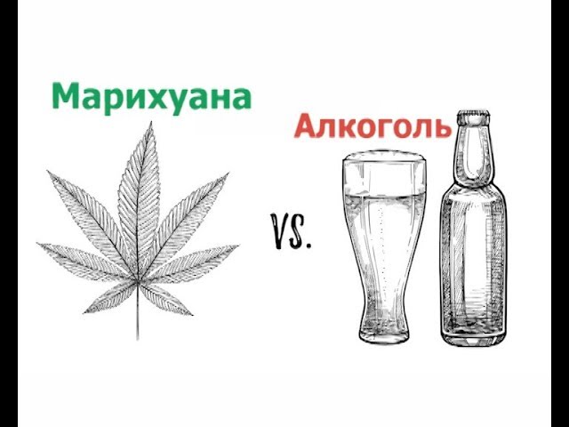 Алкоголь или конопля как лечится марихуаной от глаукомы